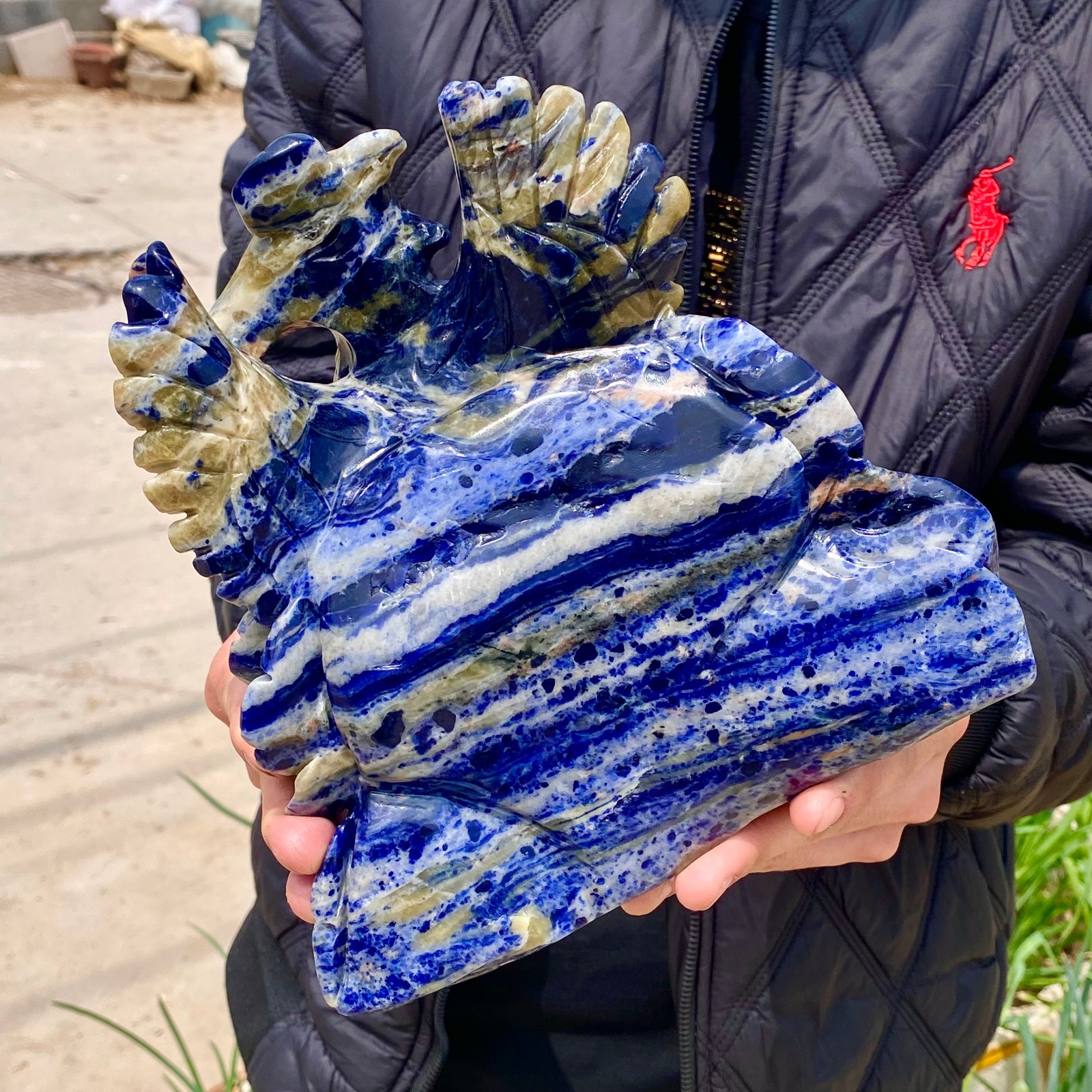 6.6LB Natural Blue Lace Agate Hand Carved Phoenix Figurine Gemstone Decor