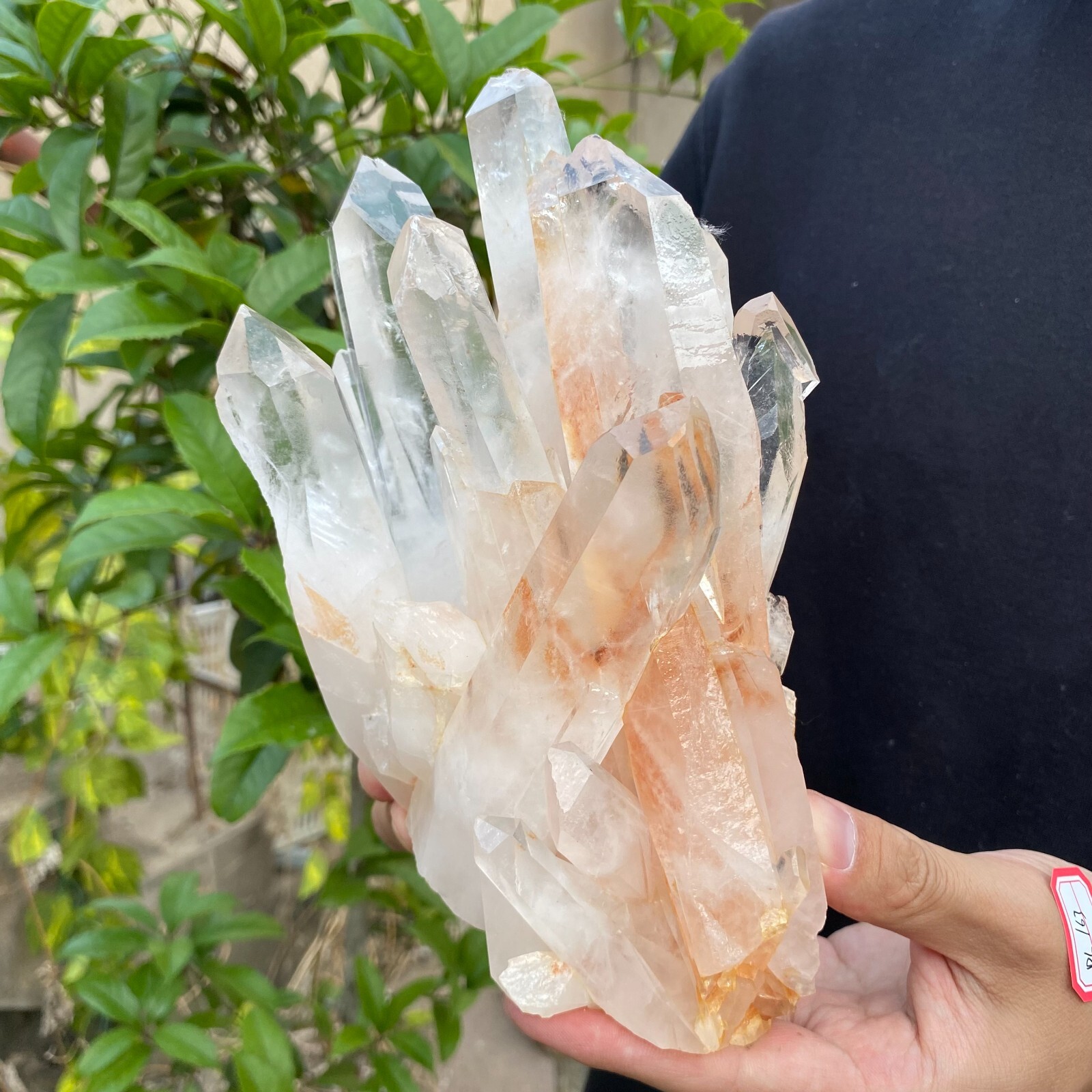 3.9lb Natural Clear White quart Crystal Cluster Raw Healing Specimen