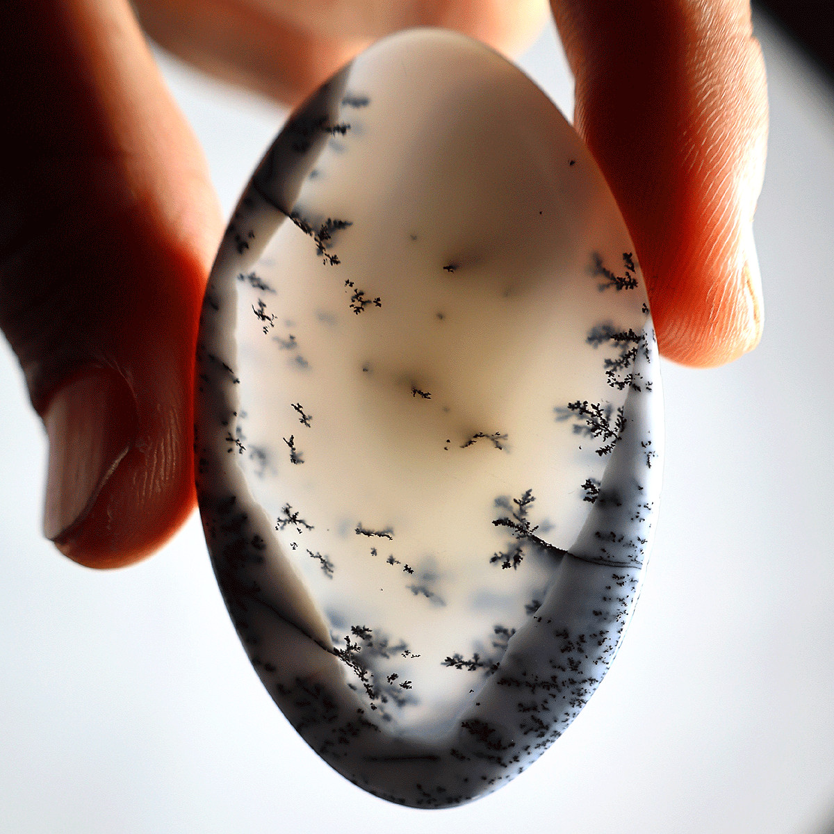 20g Australian Natural Dendrite Opal Collectible High Quality Crystal Palmstone