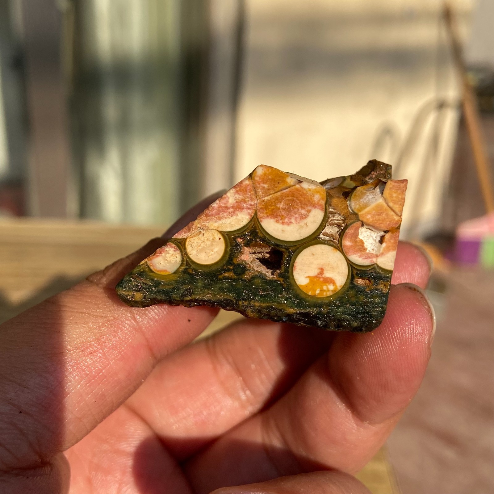 39g Small Colourful Natural Ocean Jasper Rough Crystal Mineral Specimen Healing