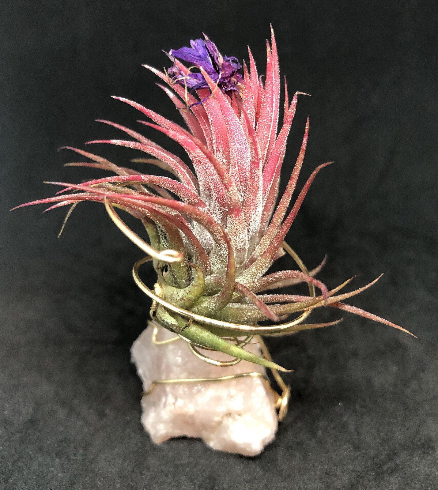 Rose Quartz Air Planter, Attract love, Crystal Air Plant