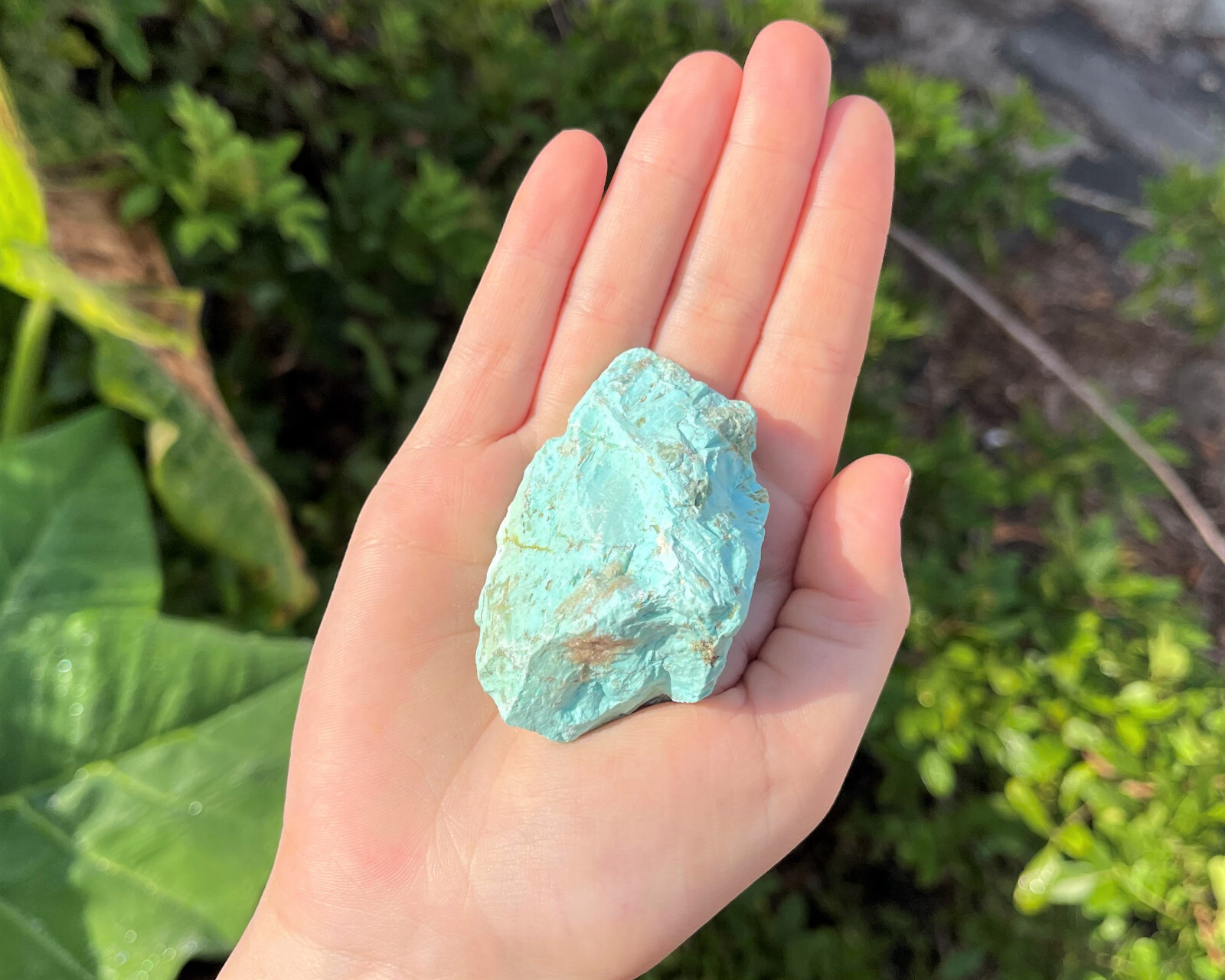 Rough Turquoise Stones LARGE 2-3″ (Raw Natural Turquoise, Peru)