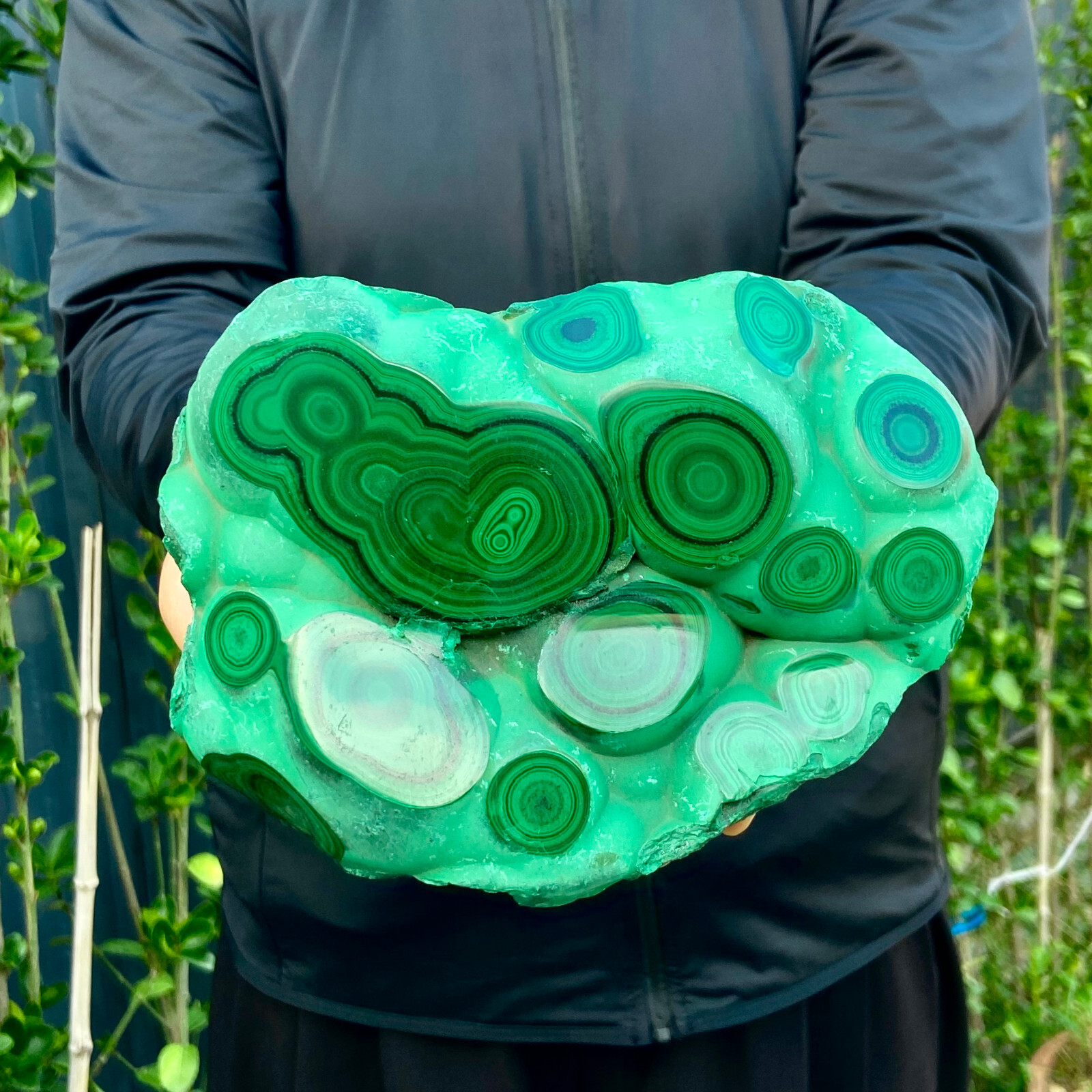 5LB Natural tortoise Malachite transparent cluster coarse mineral sample
