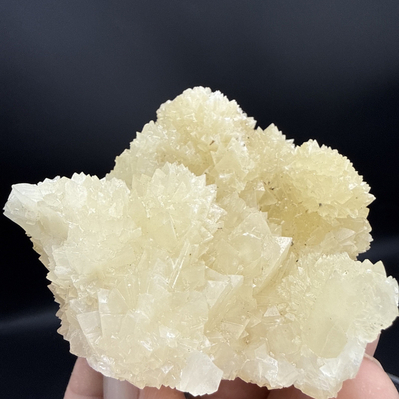 Natural Phosphorescent Honey Dogtooth Calcite Specimen!Amazing Formation! UV👀