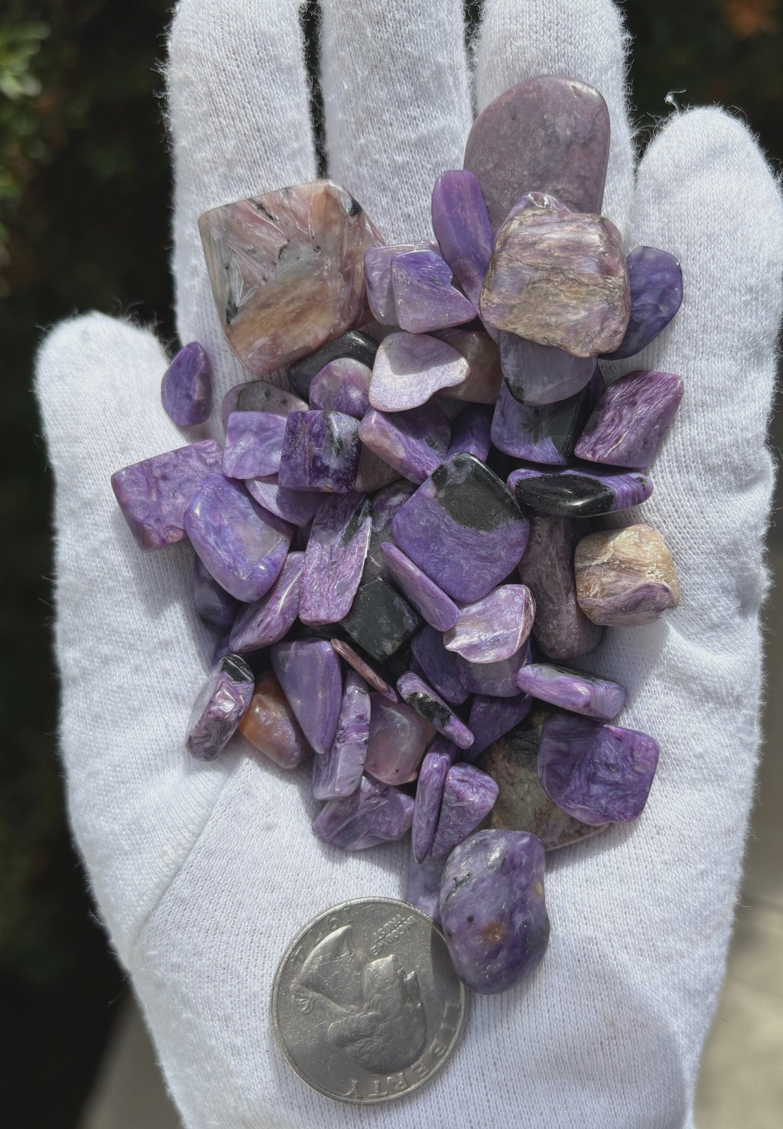 96g LOT CHAROITE CHIPS REAL AUTHENTIC MIXED SIZES: SMALL XS TINY