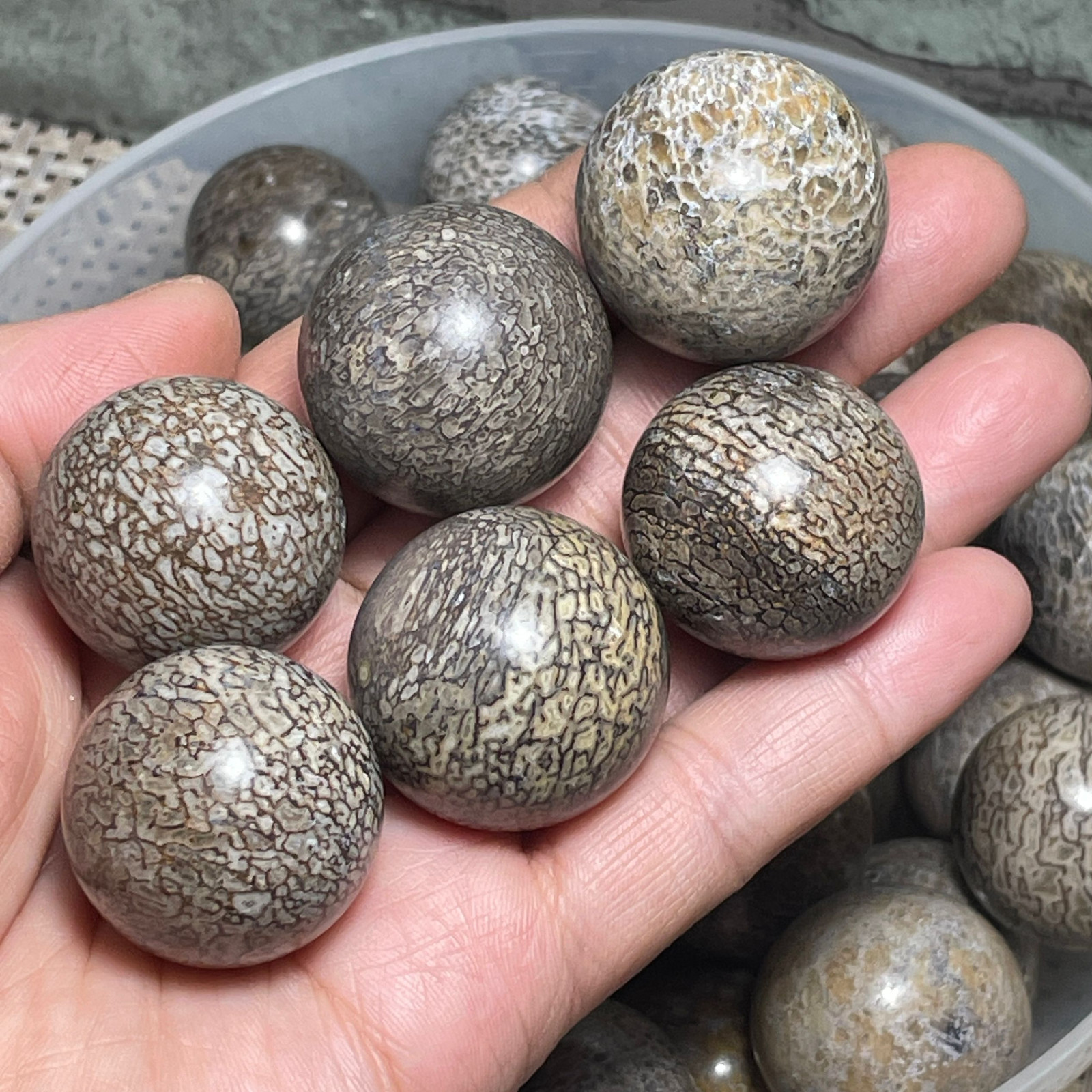 6pc 27-23mm Awesome! Beautiful stone polished Ball Sphere collection Madagascar