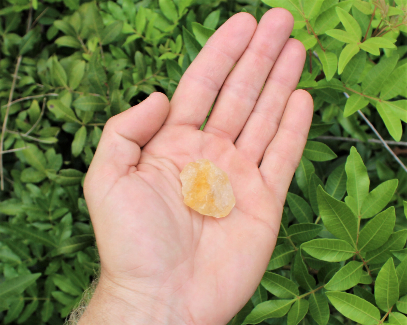 Beautiful Rough Citrine Crystal, Raw Gemstone Rock (Gold / Yellow , 1″ – 2″)