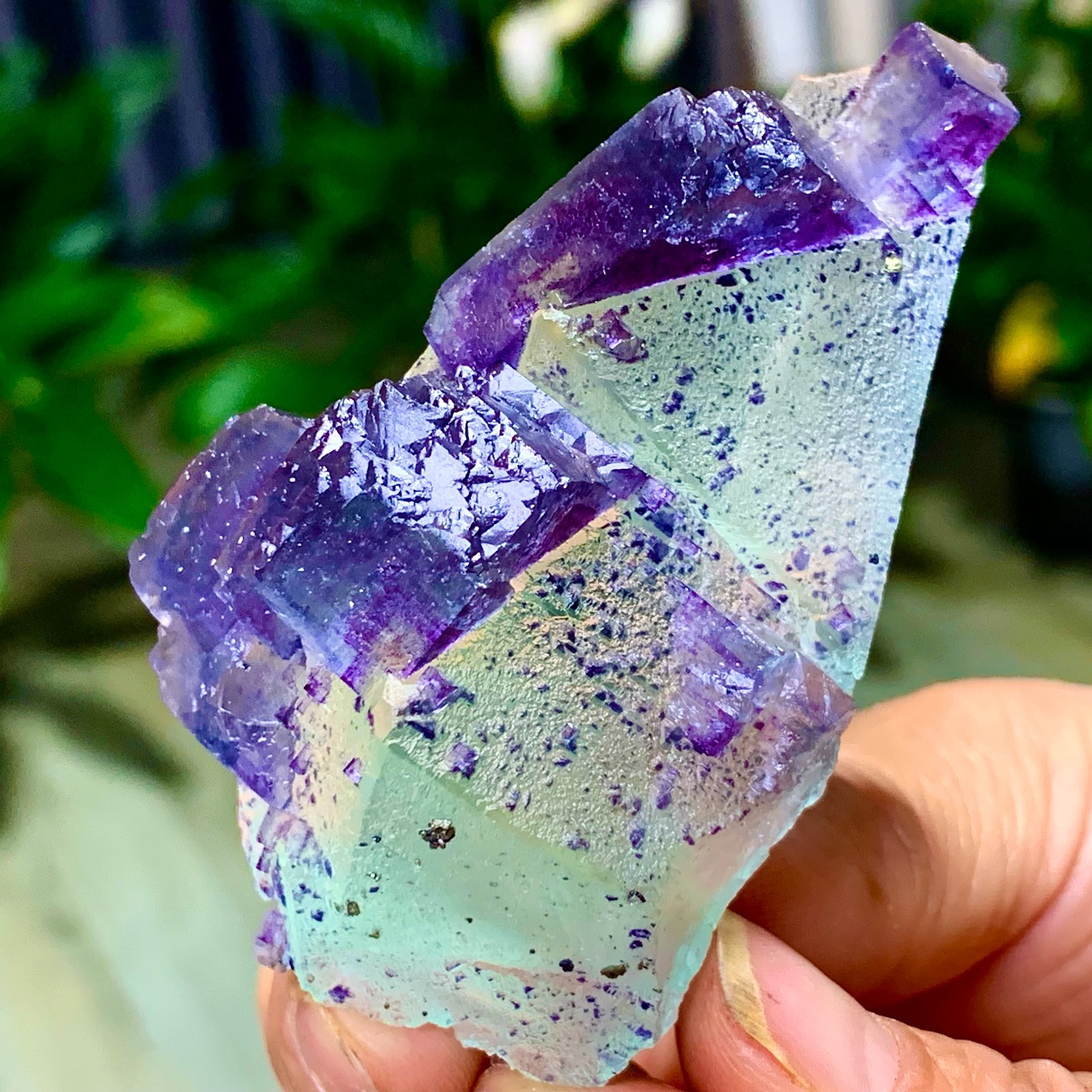 86G Rare transparent green purple cubic Zhejiang fluorite mineral sample