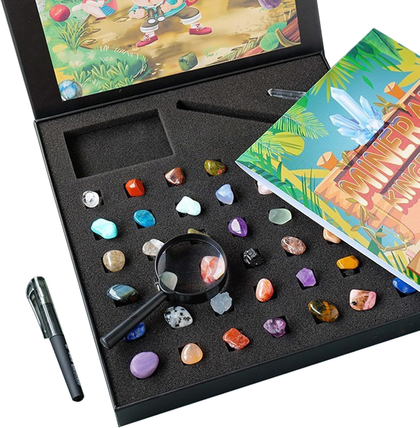 43 Pieces Rock Kit for Geology Enthusiasts | Rock Collection with Mineral Testin