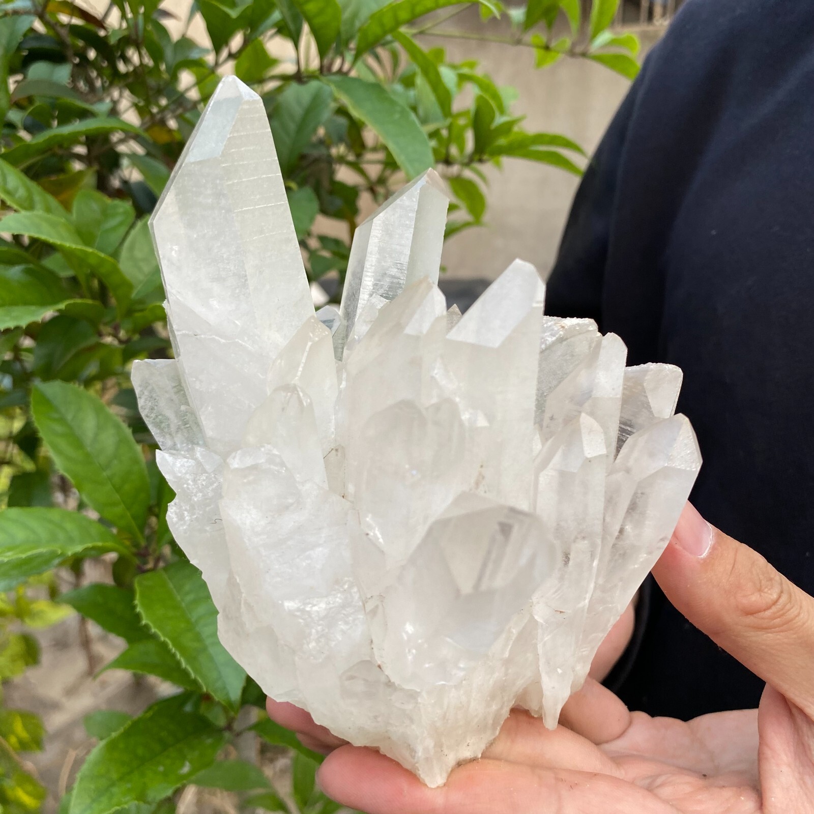 2.4lb Natural Clear White quart Crystal Cluster Raw Healing Specimen