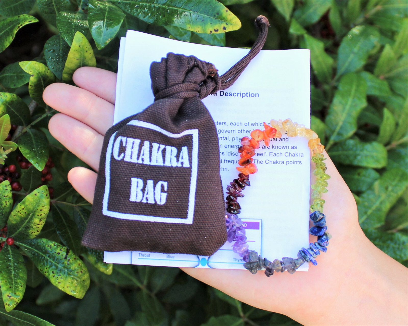 CHAKRA KIT: 7 Tumbled Stones Set & Instructions & Pouch & Chakra Chip Bracelet