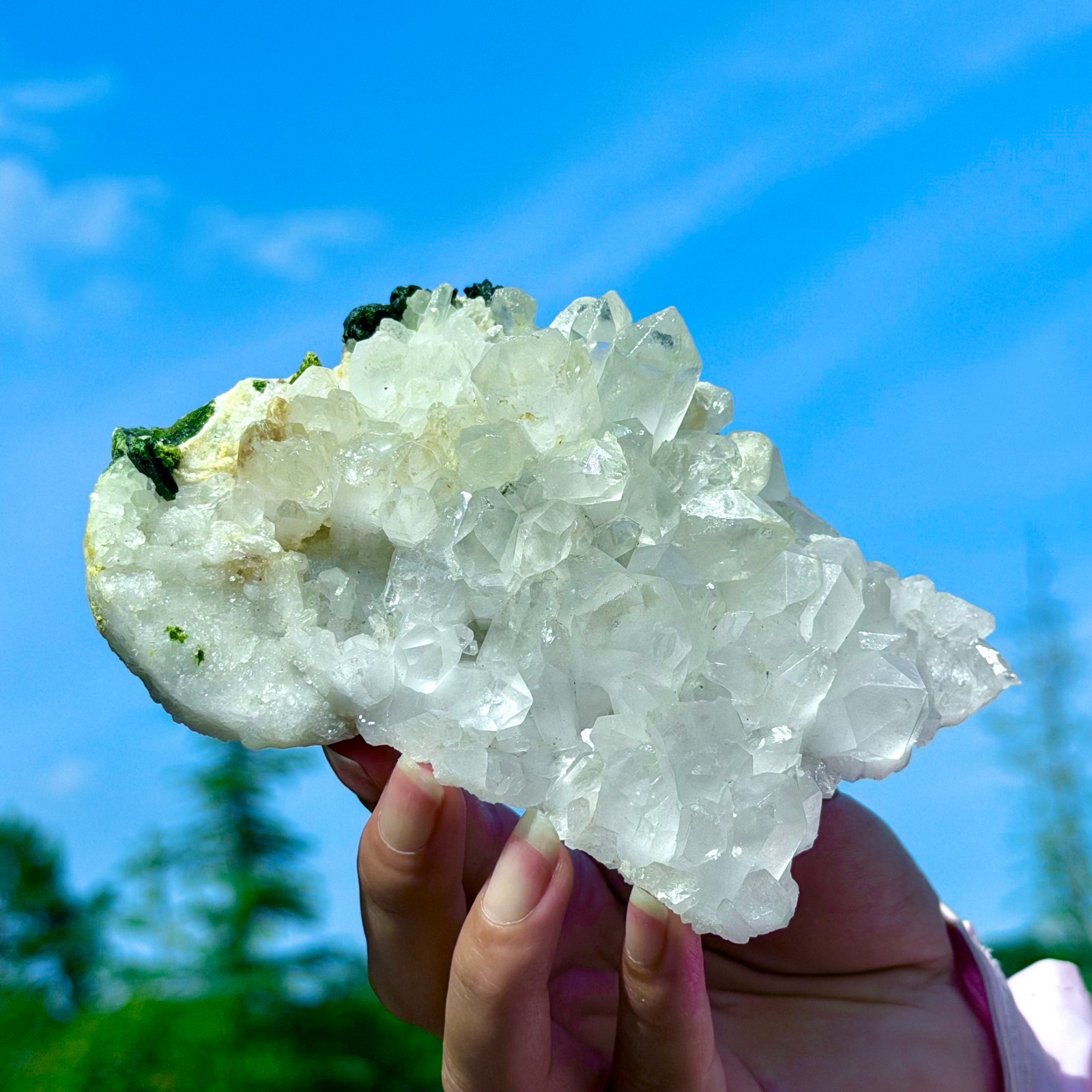 449G Rare!! Natural Clear Crystal with Epidote Garden Quartz Cluster Specimen