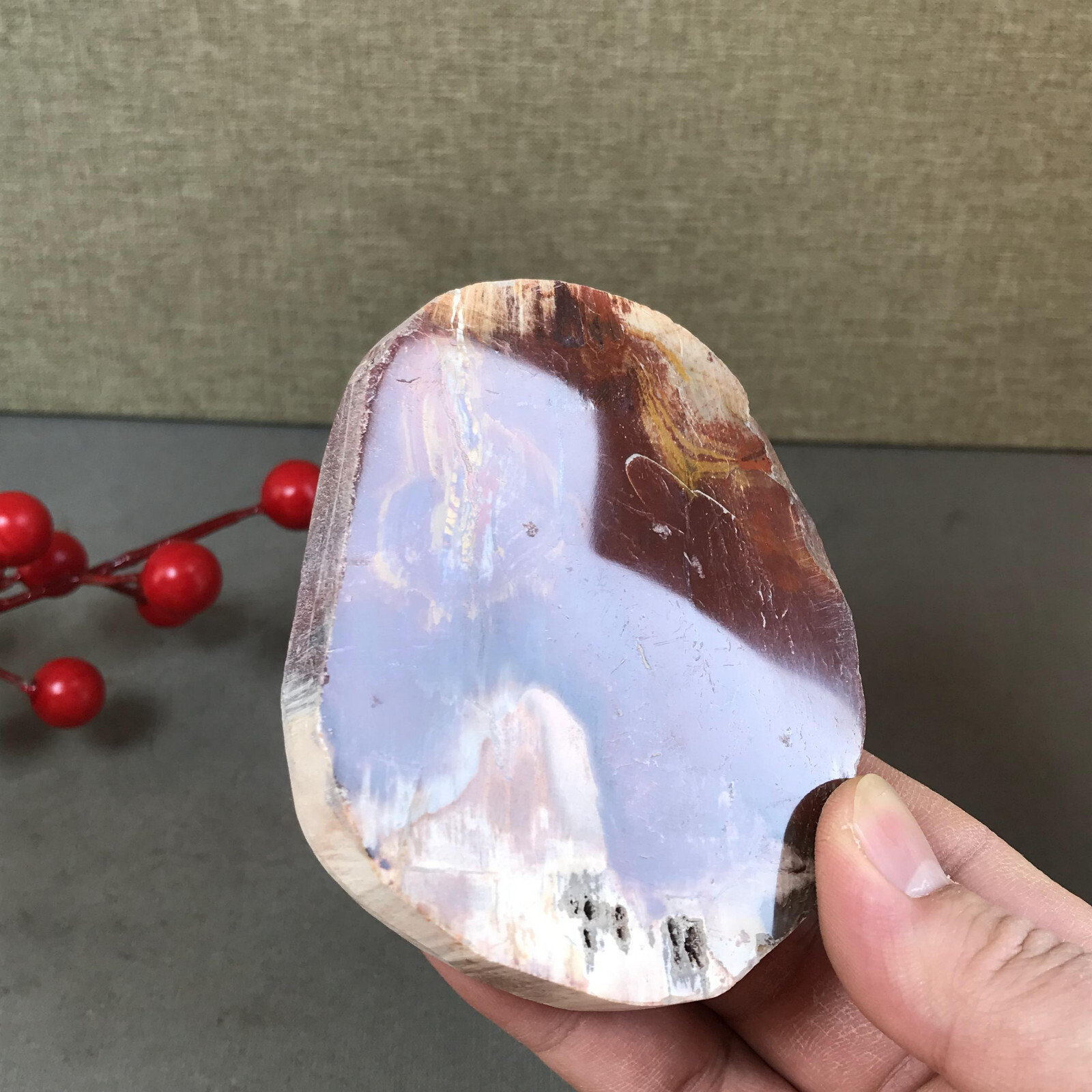 92mm natural Beautiful Petrified Wood Crystal Slice mineral specimen 266g A5424