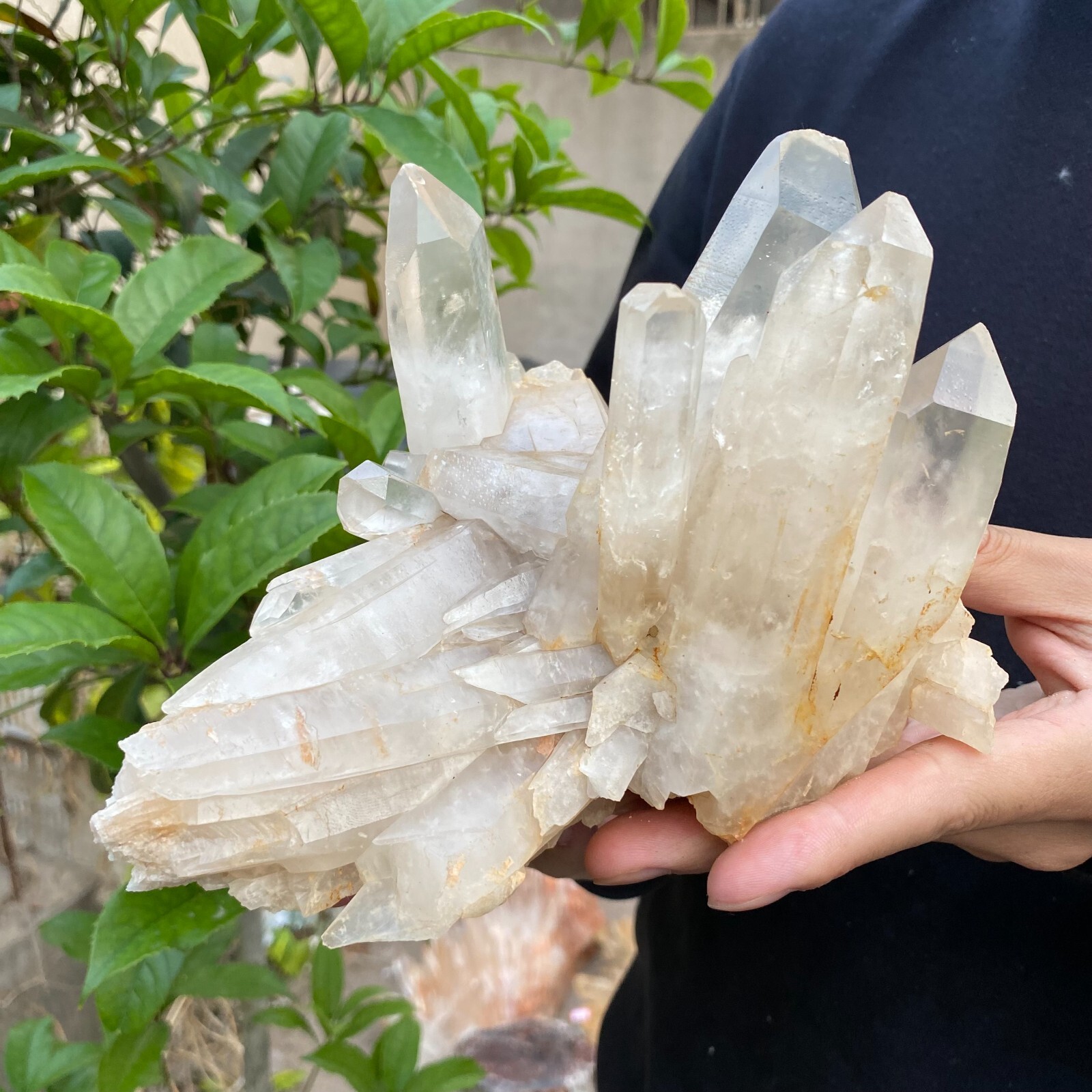 2.9lb Natural Clear White quart Crystal Cluster Raw Healing Specimen