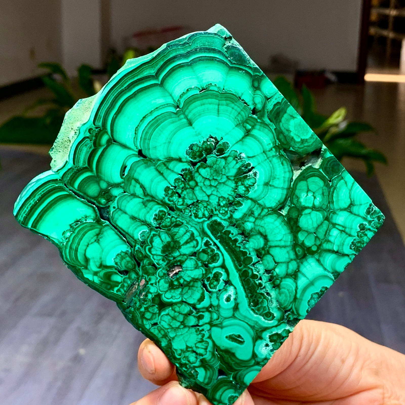 290G Natural glossy Malachite transparent cluster rough mineral sample