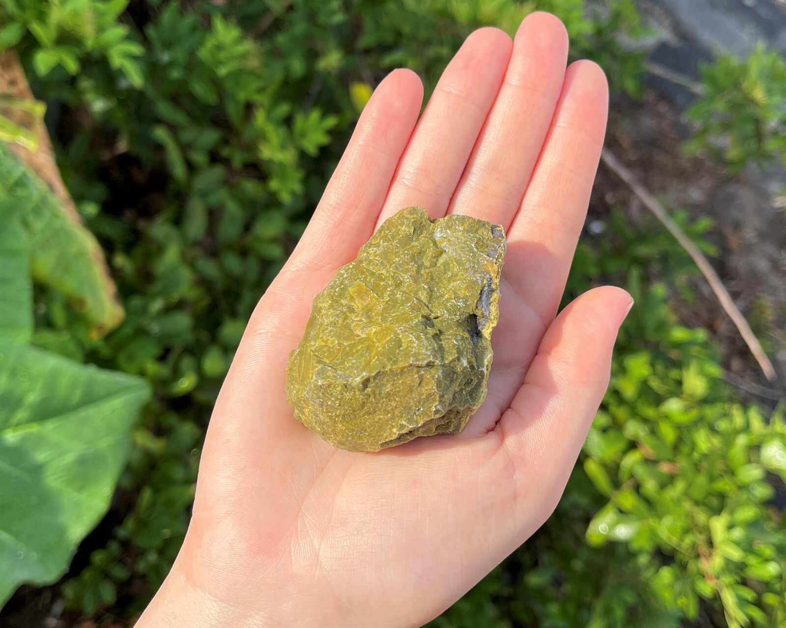 LARGE Rough Green Opal Natural Crystals, 2 – 3″ (Raw Green Opal Gemstones)