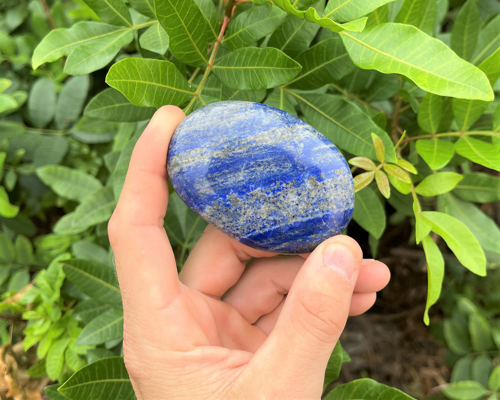 Lapis Palm Stone MEDIUM, 2.5 – 3″ (Lapis Lazuli Polished Gemstone Worry Stone)