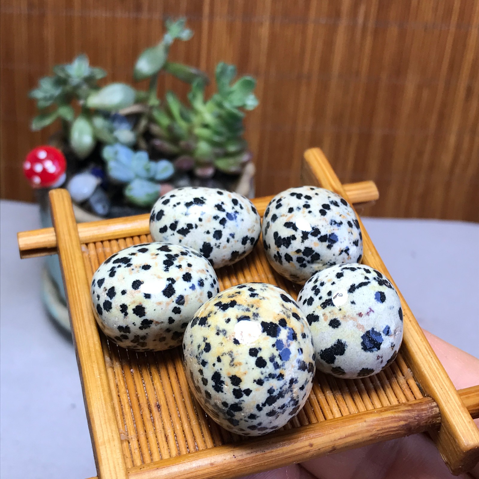 24-24-18mm 5Pcs Natural spotted stone Crystal gemstone Mineral Specimen A5717