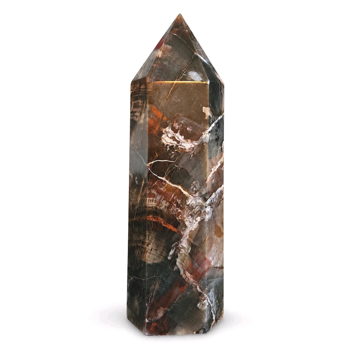 Large Natural Polished Petrified Wood Tower 8.375″ Tall – 1.26kg- USA
