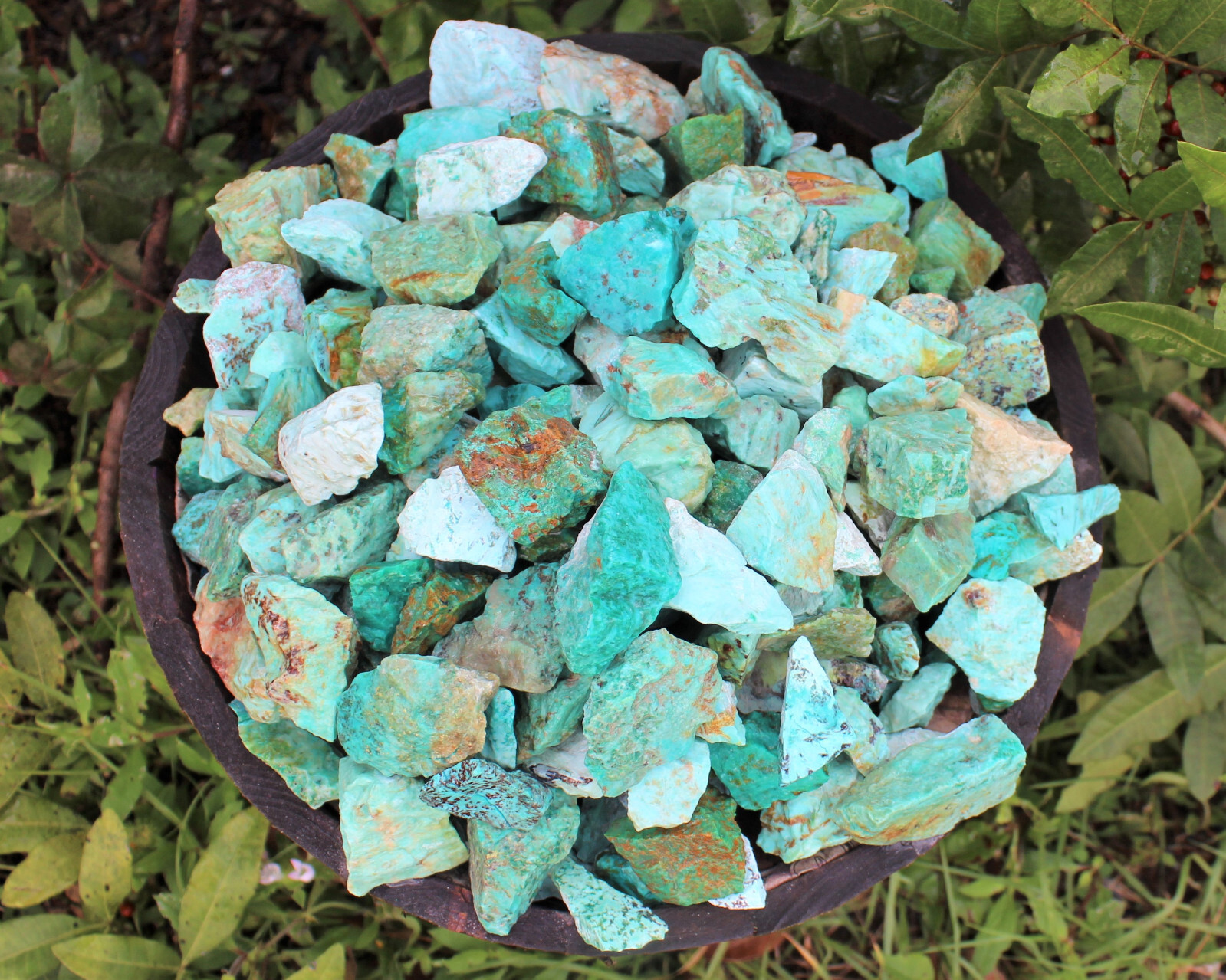 Rough Turquoise Stones LARGE 2-3″ (Raw Natural Turquoise, Peru)