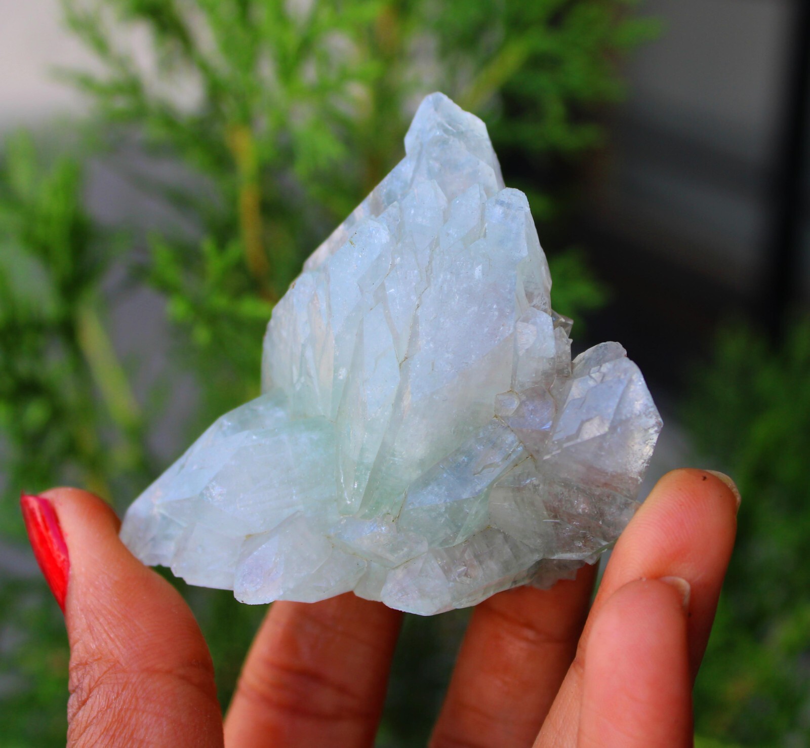 Green Apophyllite Crystals Minerals Specimen