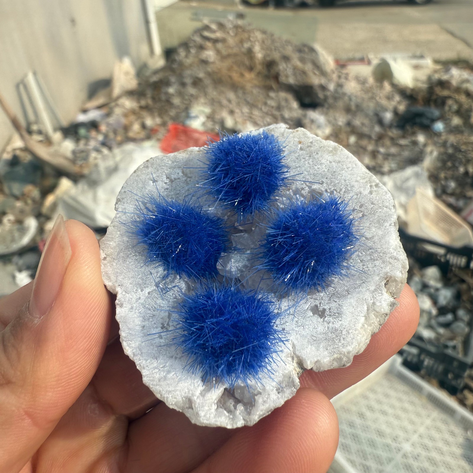 Raw Rough Dandelion Zeolite Cluster Blue Cave Quartz Crystal Decoration 10pc