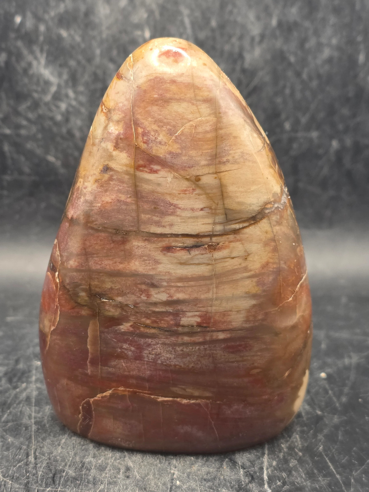 Petrified wood free form! 14.5 ounces, 3.9 inches tall, 2.7″ wide