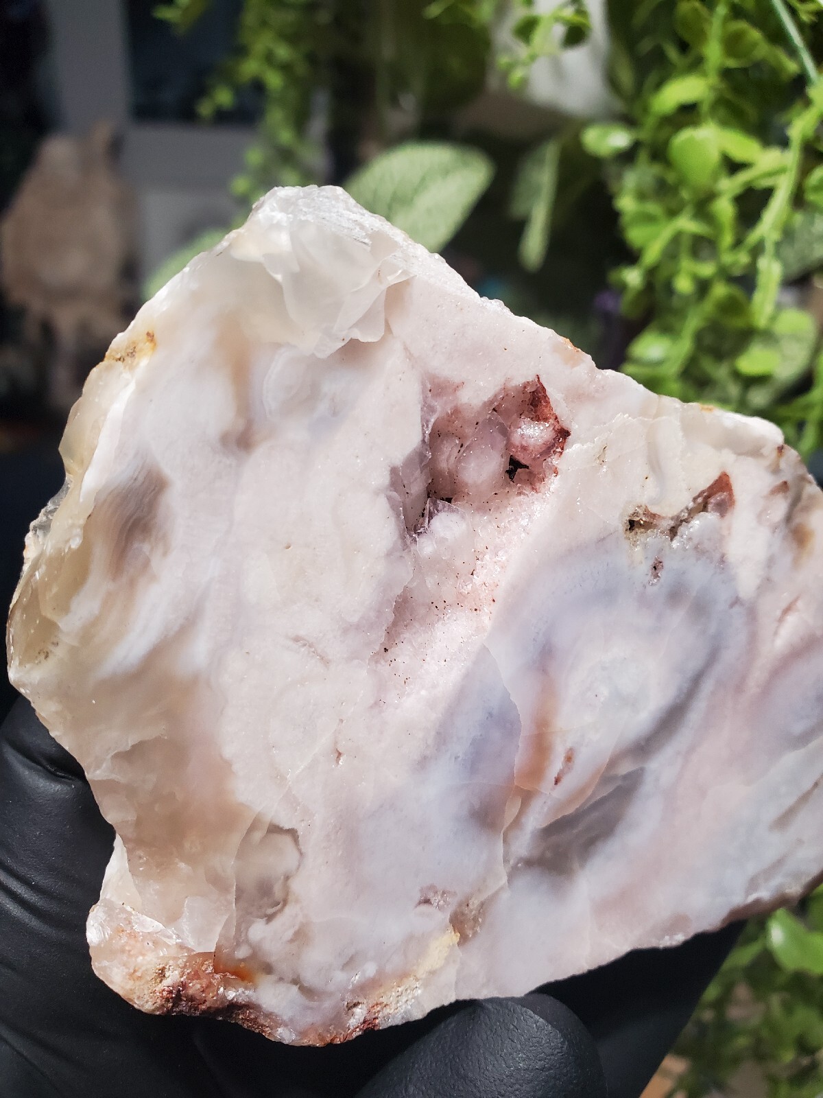 124g Beautiful Flower Agate Slice Slab Crystal Quartz Energy Healing Crystal