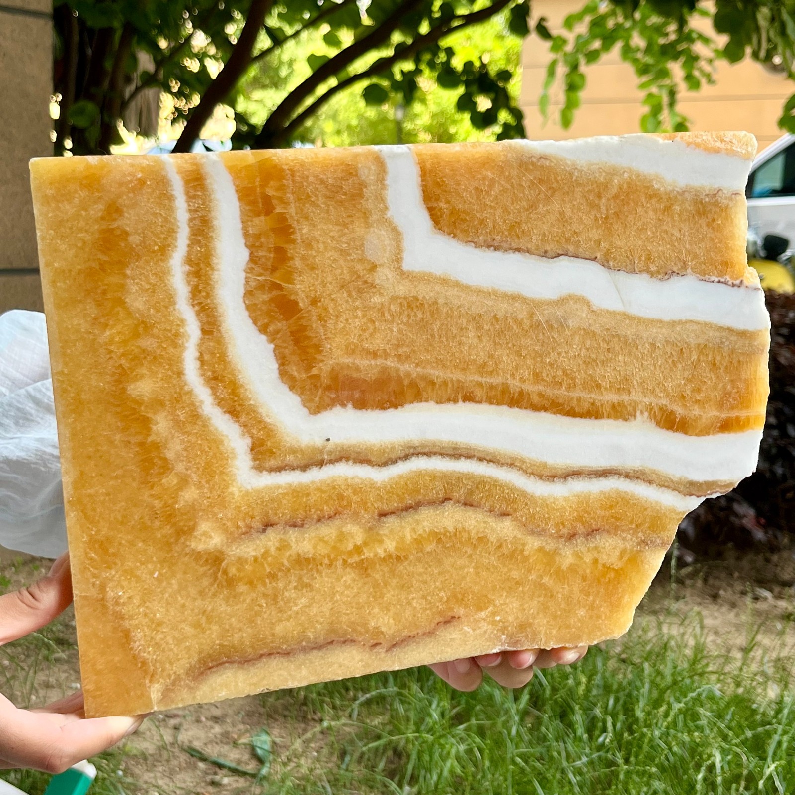 6.2 lb Authentic Yellow Calcite Polished Both Sides Crystal Slice Display