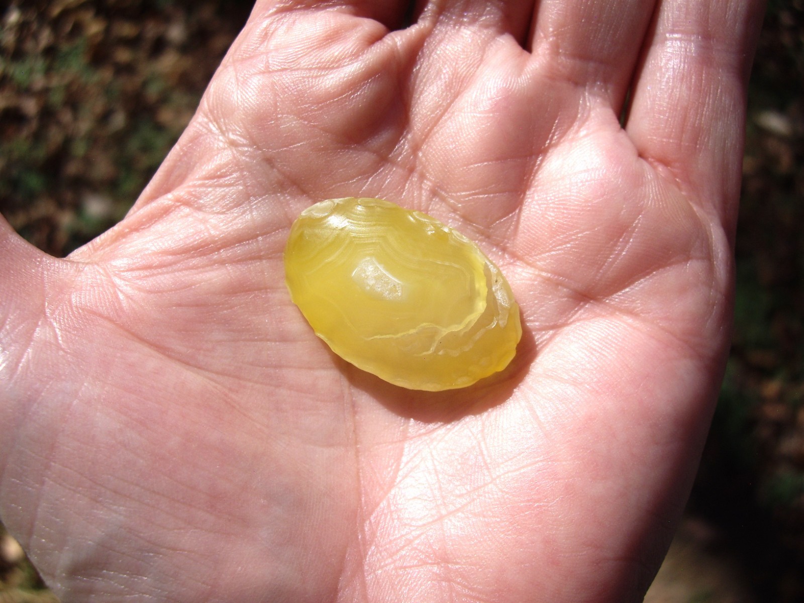 Natural Translucent Yellow Gobi Desert Agate “Gobi Stone” 10.5g