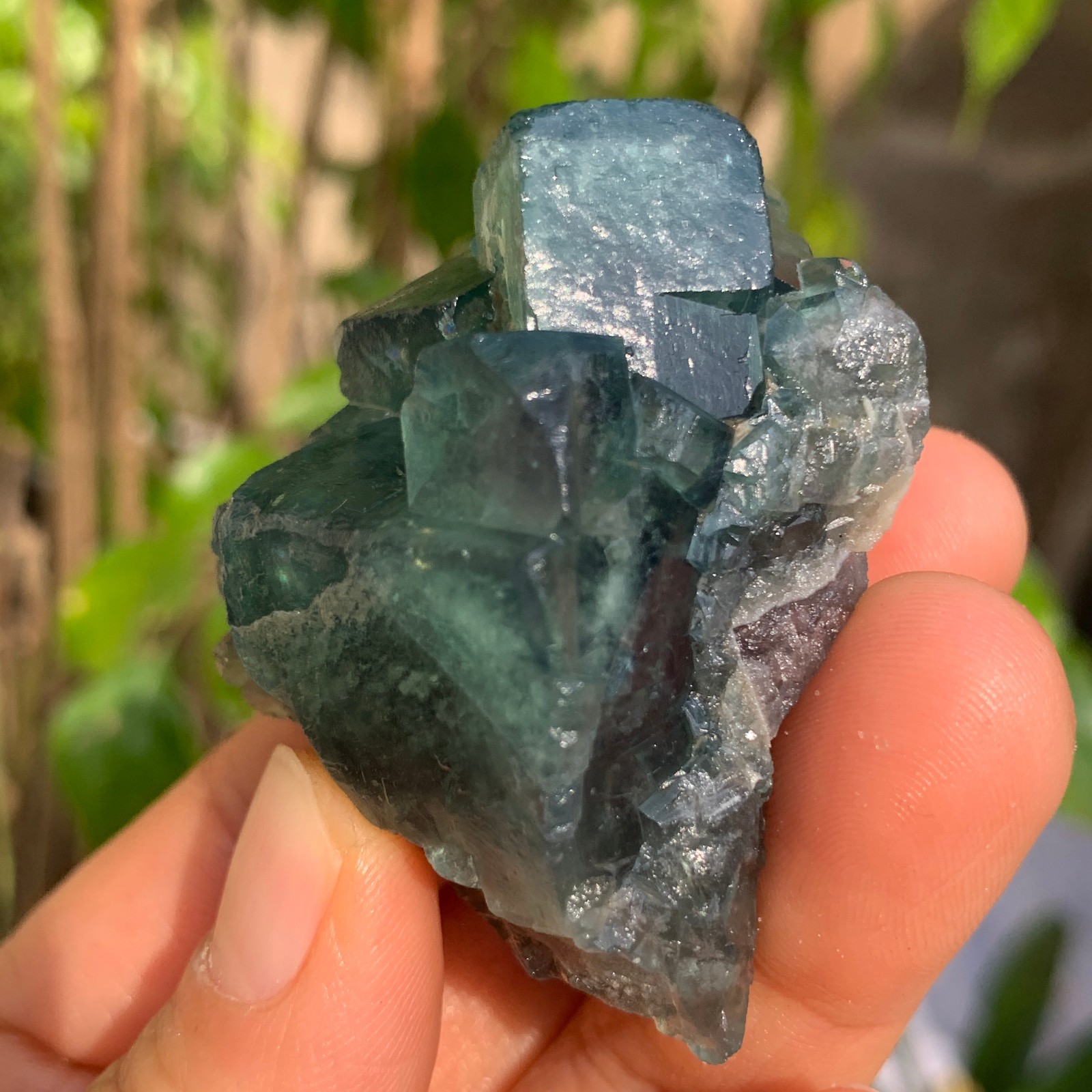 88g Natural Green FLUORITE Quartz Crystal Cluster Mineral Specimen