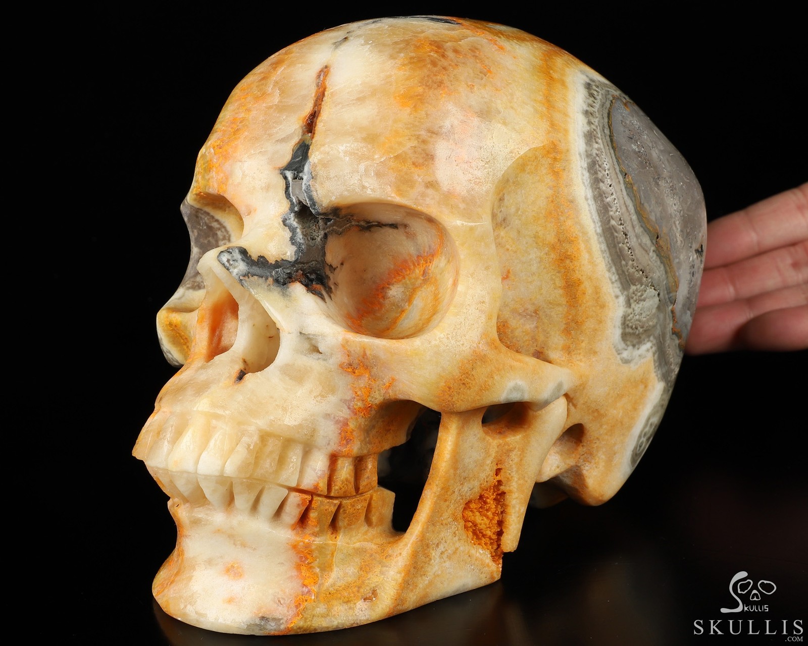Gemstone Super Realistic! Lifesized 7.0″ Bumble Bee Jasper Crystal Skull