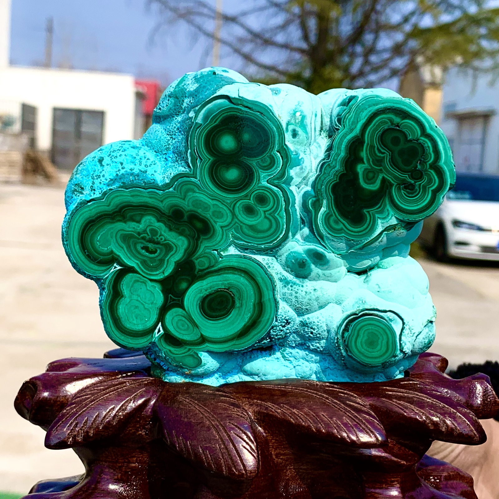 1.92LB Natural Chrysocolla/Malachite transparent cluster rough mineral sample