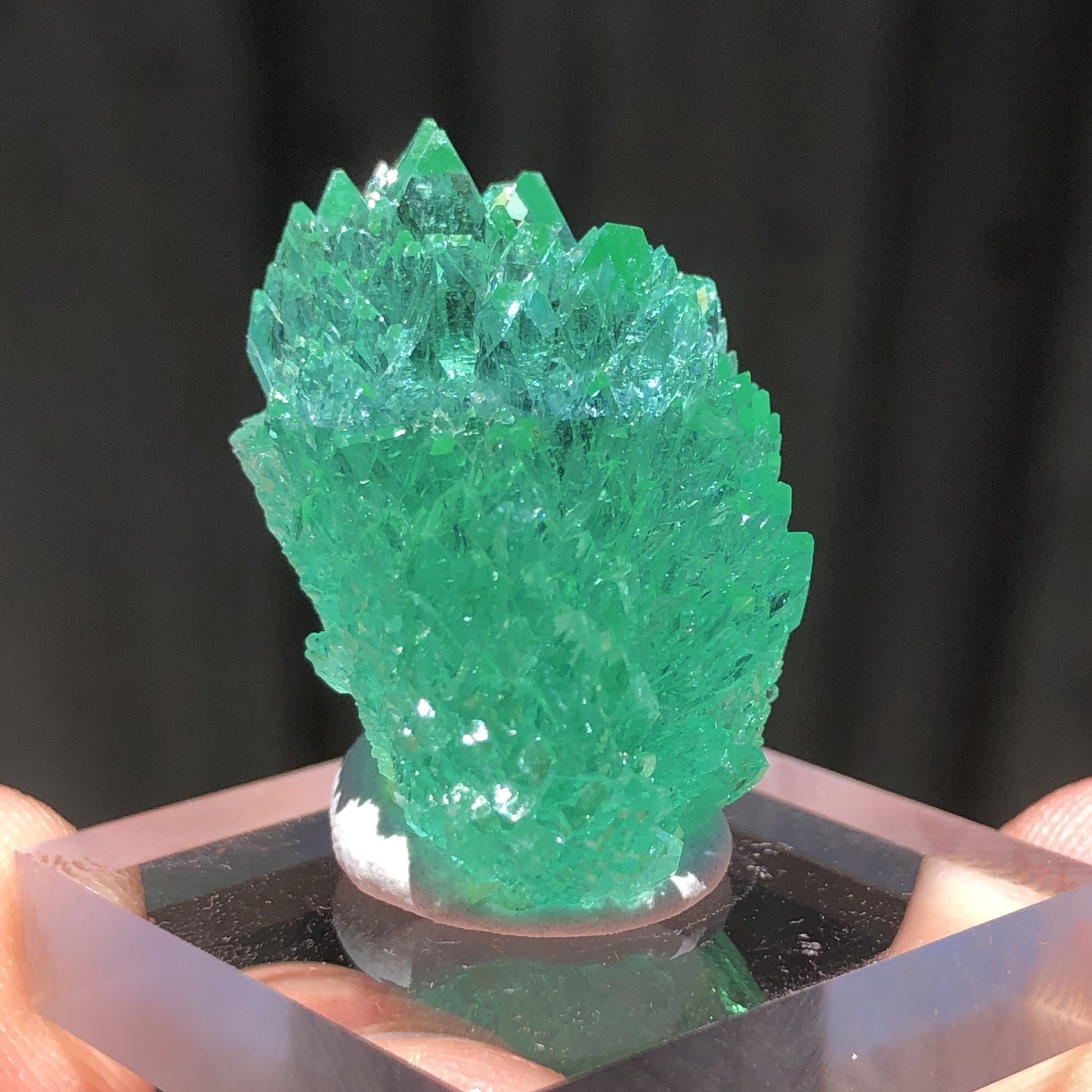 2.4cm Emerald Green Apophyllite Crystals with Stilbite from Madhya Pradesh, Indi