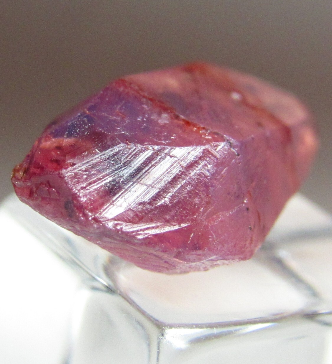EXTRAVAGANT FINE DOUBLE TERMINATED GEM CLEAR RUBY CRYSTAL!!! WINZA TANZANIA