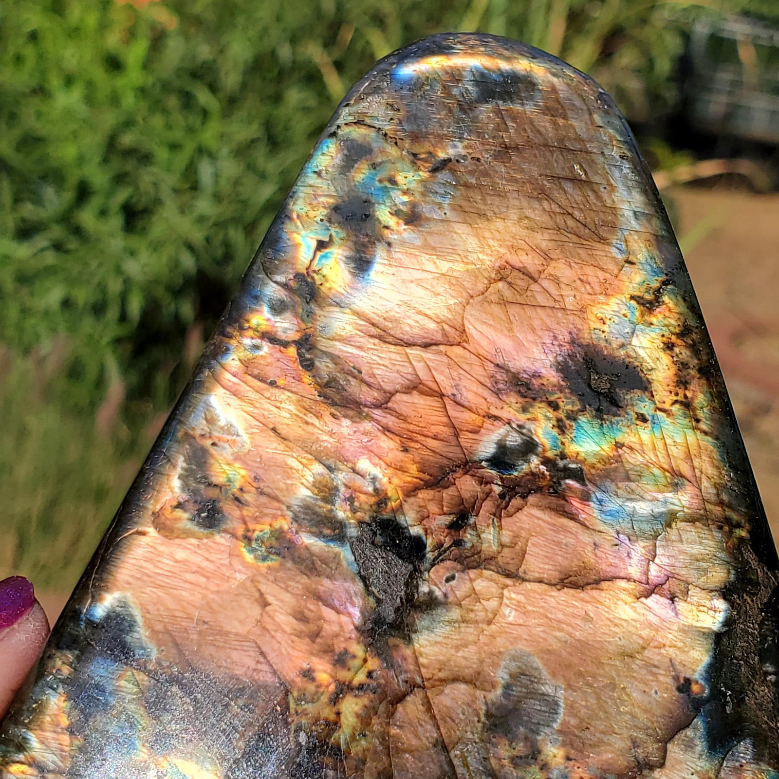 Labradorite Spectrolite “Stained Glass” Crystal Slab Freeform 700 grams