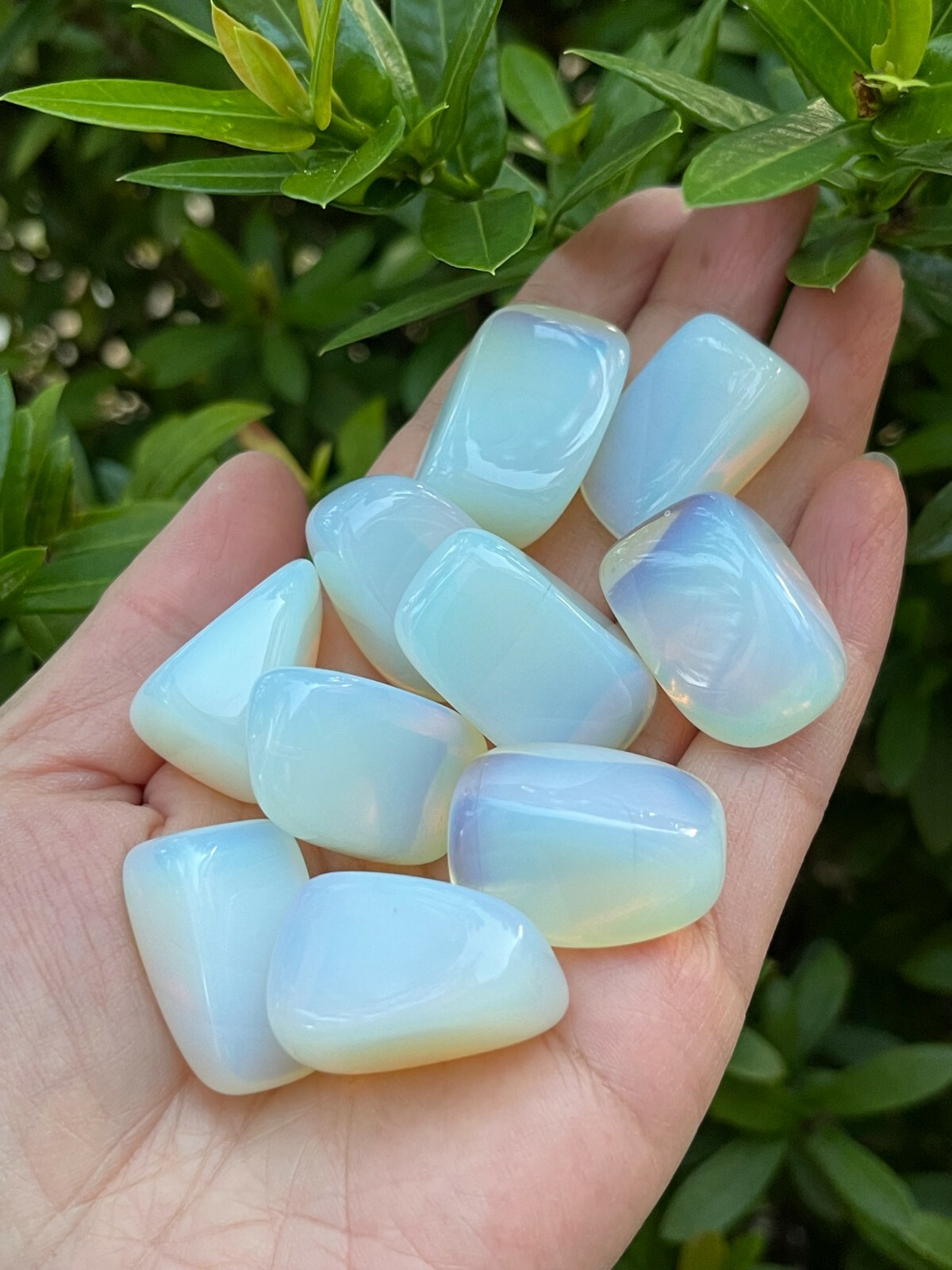 Grade A++ Opalite Tumbled Stones, 1-1.25 Inches Tumbled Opalite, Pick How Many