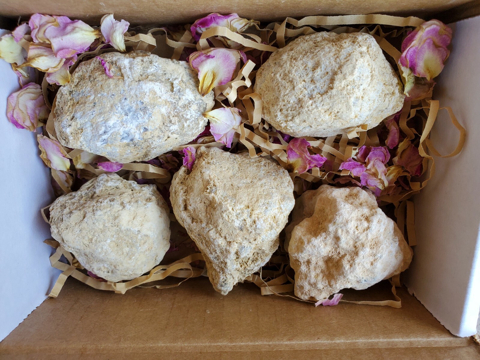 BREAK YOUR OWN GEODES Gift Box Gift Set of FIVE Unopened Geodes
