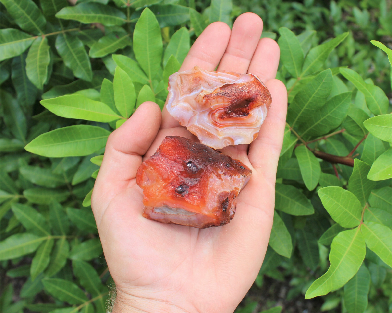 LARGE Rough Carnelain Chunks, 2″ – 3″: ‘A’ Grade, Raw Carnelian