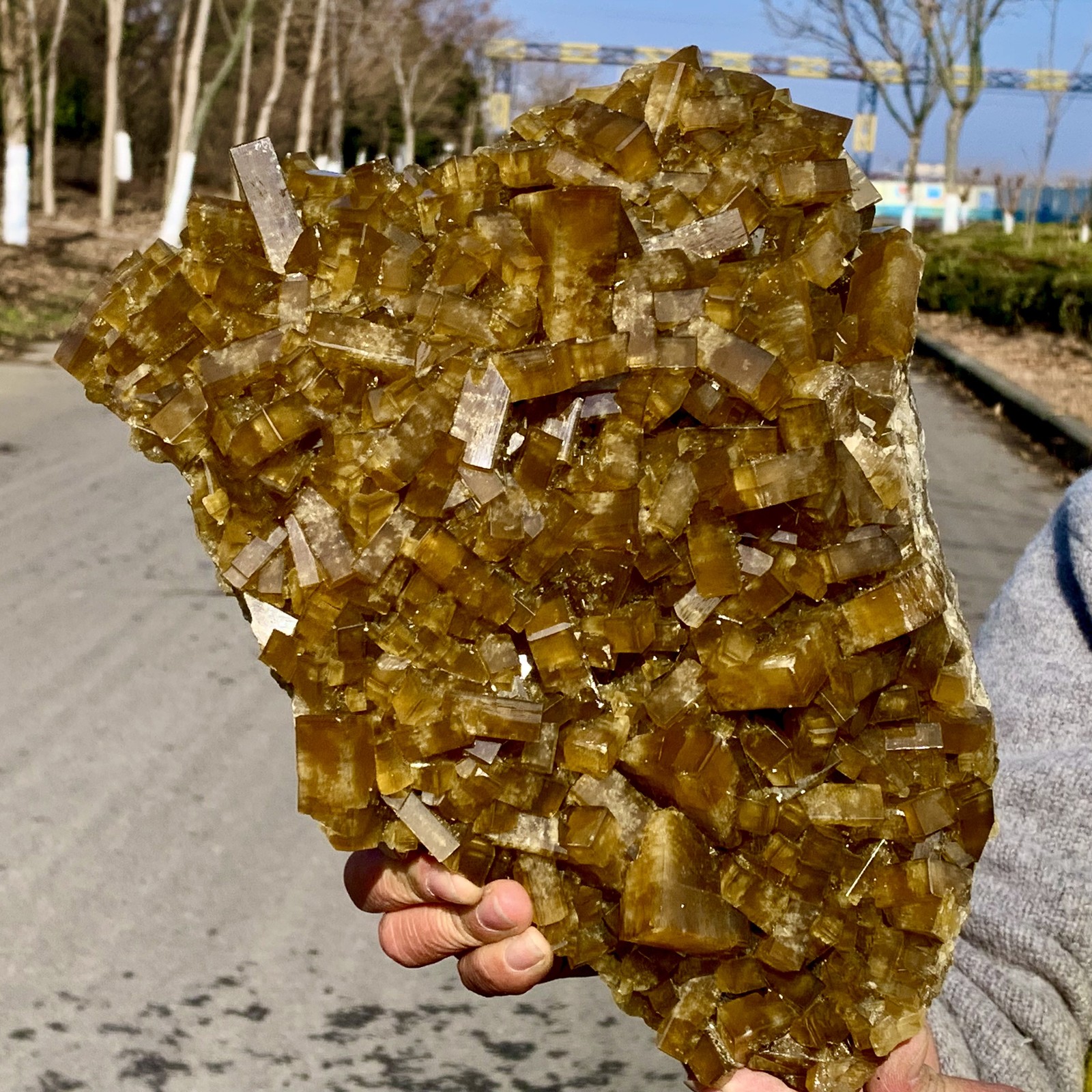 16.14LBShiny Golden Cuboid Barite Crystal Based on the Purple Spherical Fluorite