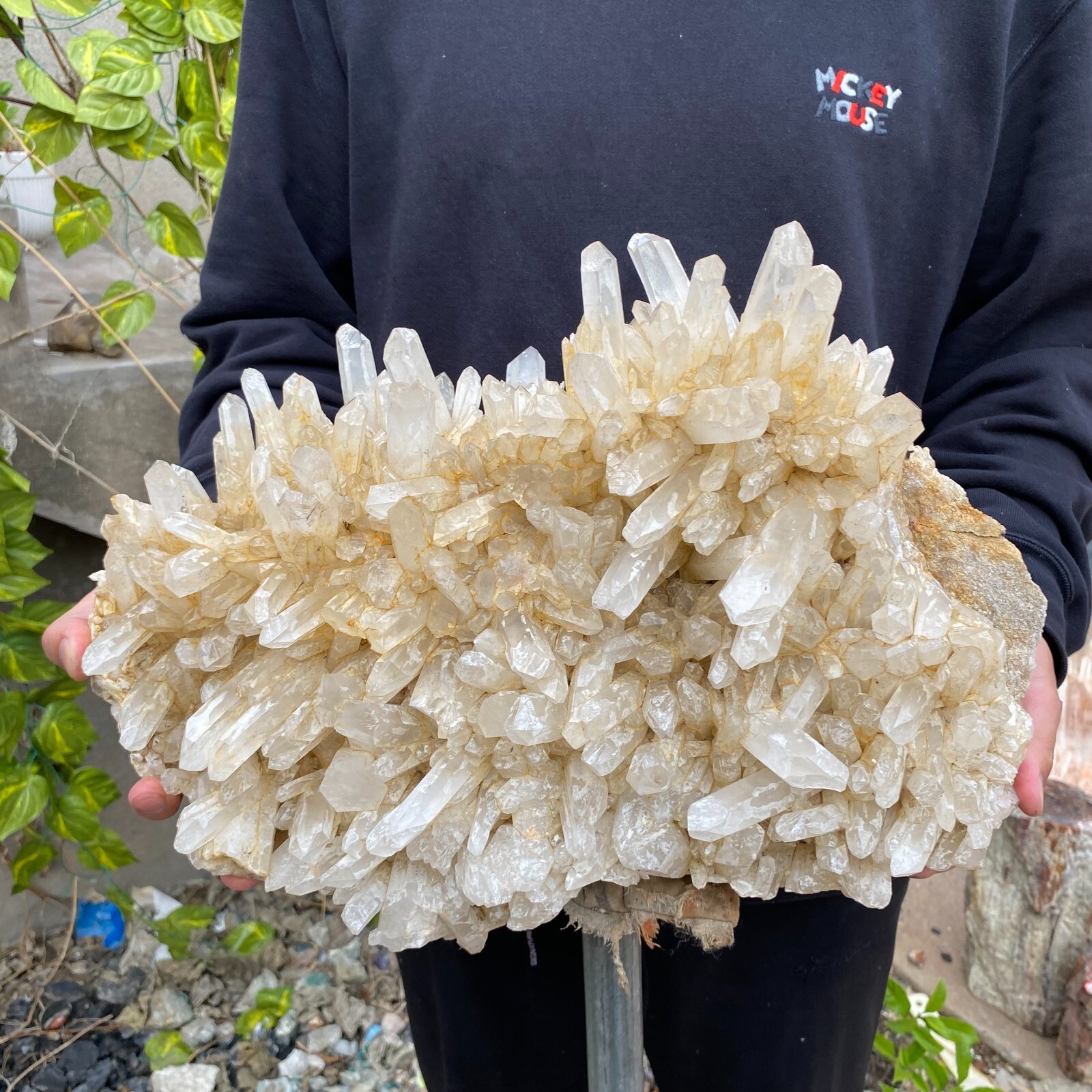 43.9lb Natural Clear White quart Crystal Cluster Raw Healing Specimen