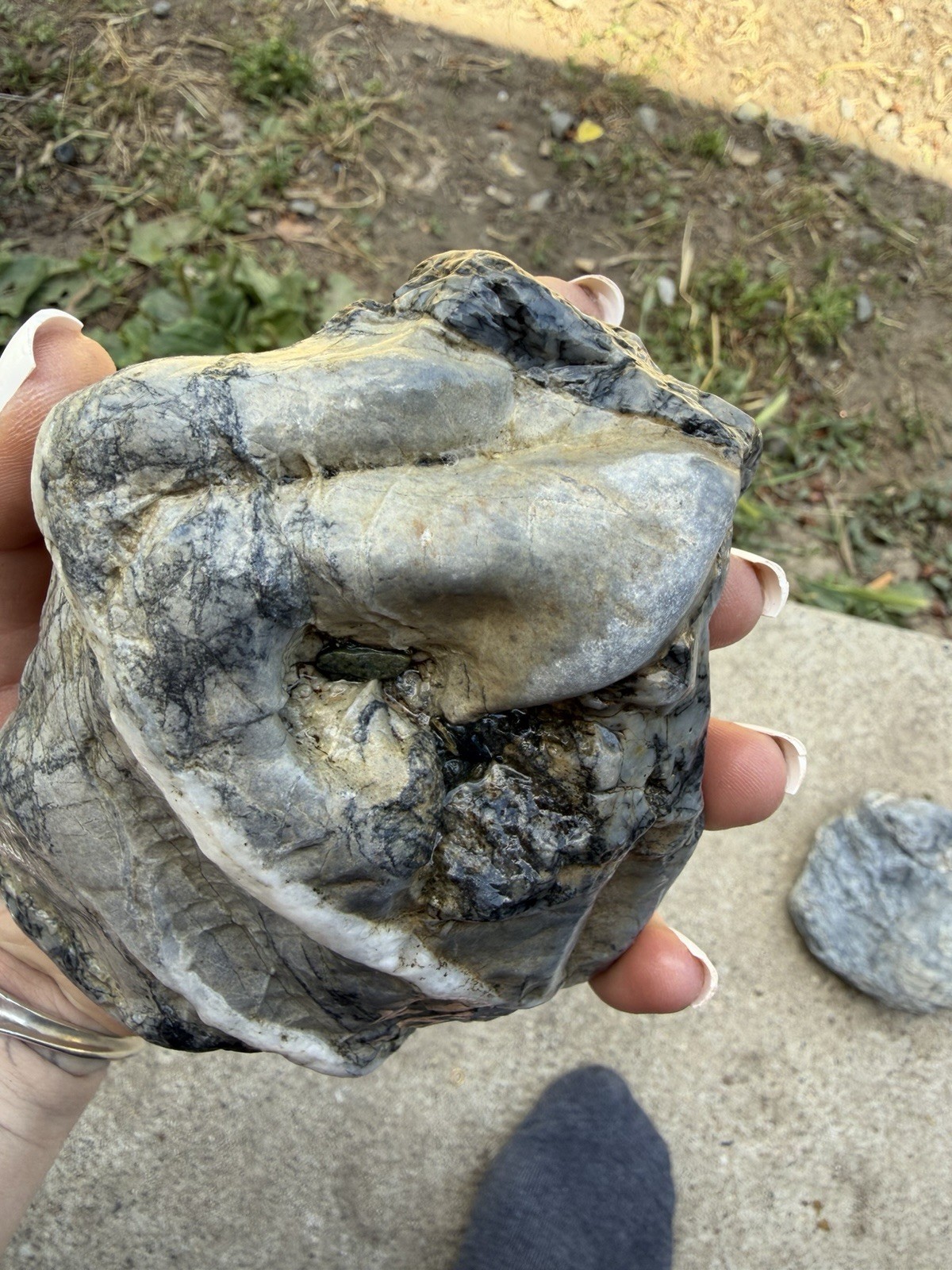 Unique Quartz Veined River Stone Natural Abstract Sculpture Display Specimen