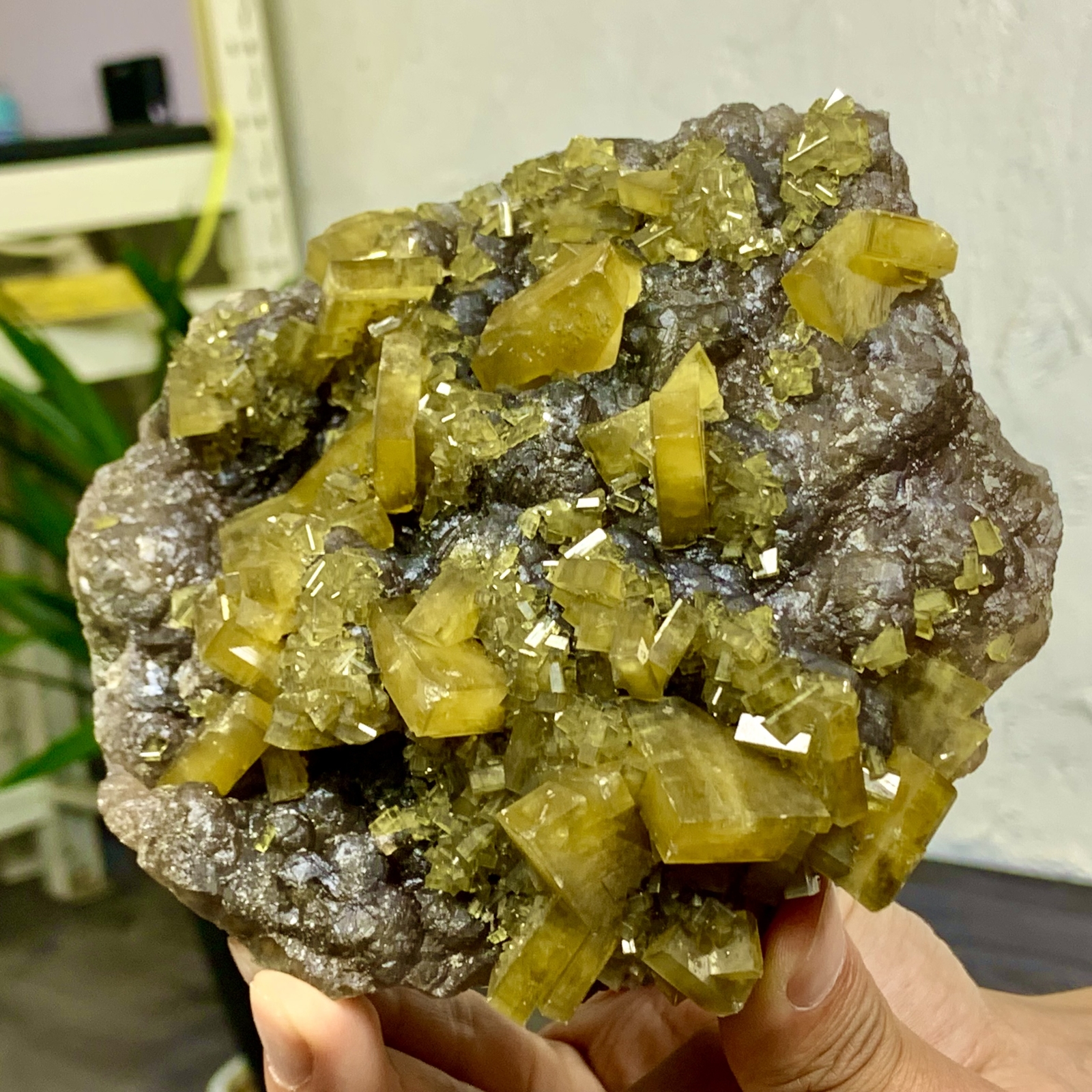 2.76LB Shiny Golden Cuboid Barite Crystal Based on the Purple Spherical Fluorite