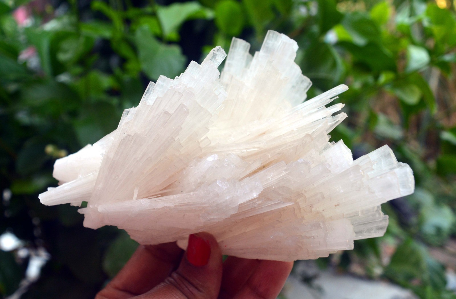 scolecite spray formation minerals specimen a-4