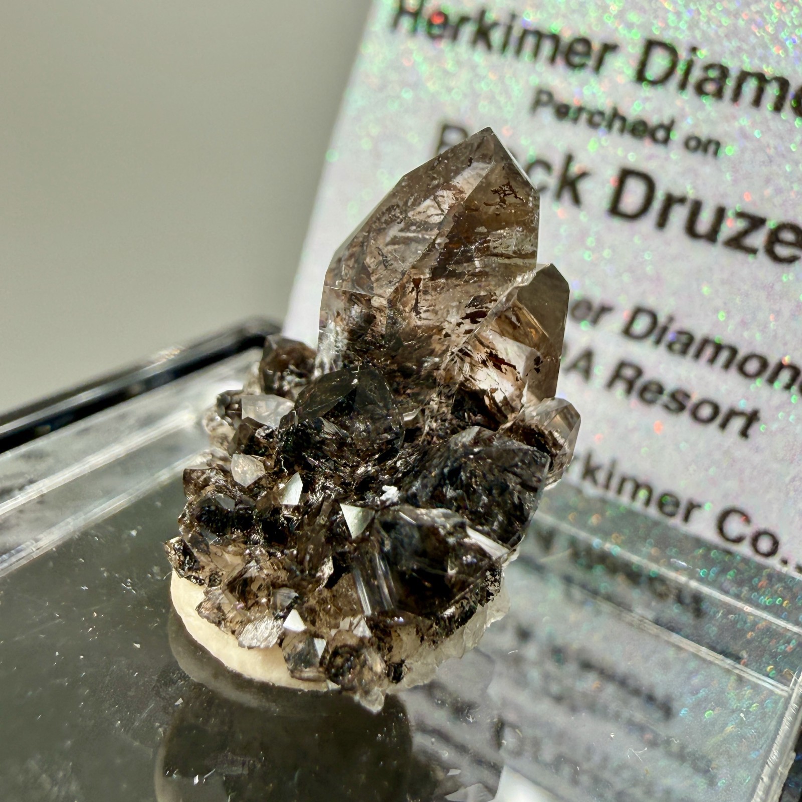 Herkimer Diamond Perched on Rare Black Druze, Gem Points w/ Phantoms