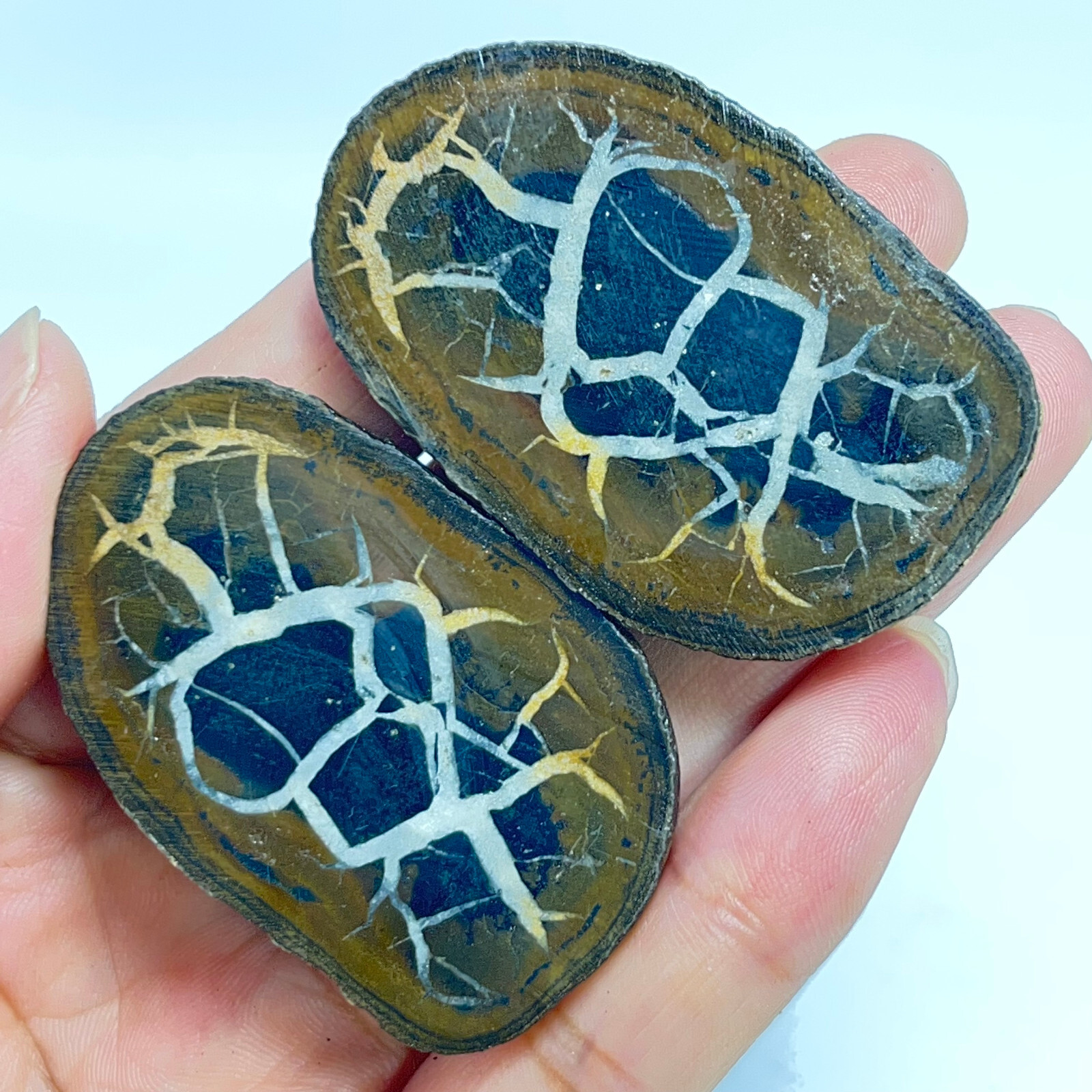 62G Natural Crystal Moroccan Turtle Back Stone Cutting Quartz Energy Spirit