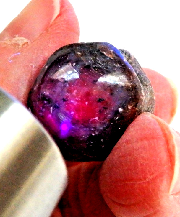 Crystal Natural Star Corundum Ruby Sapphire Dogtooth 27.8 grams India UV