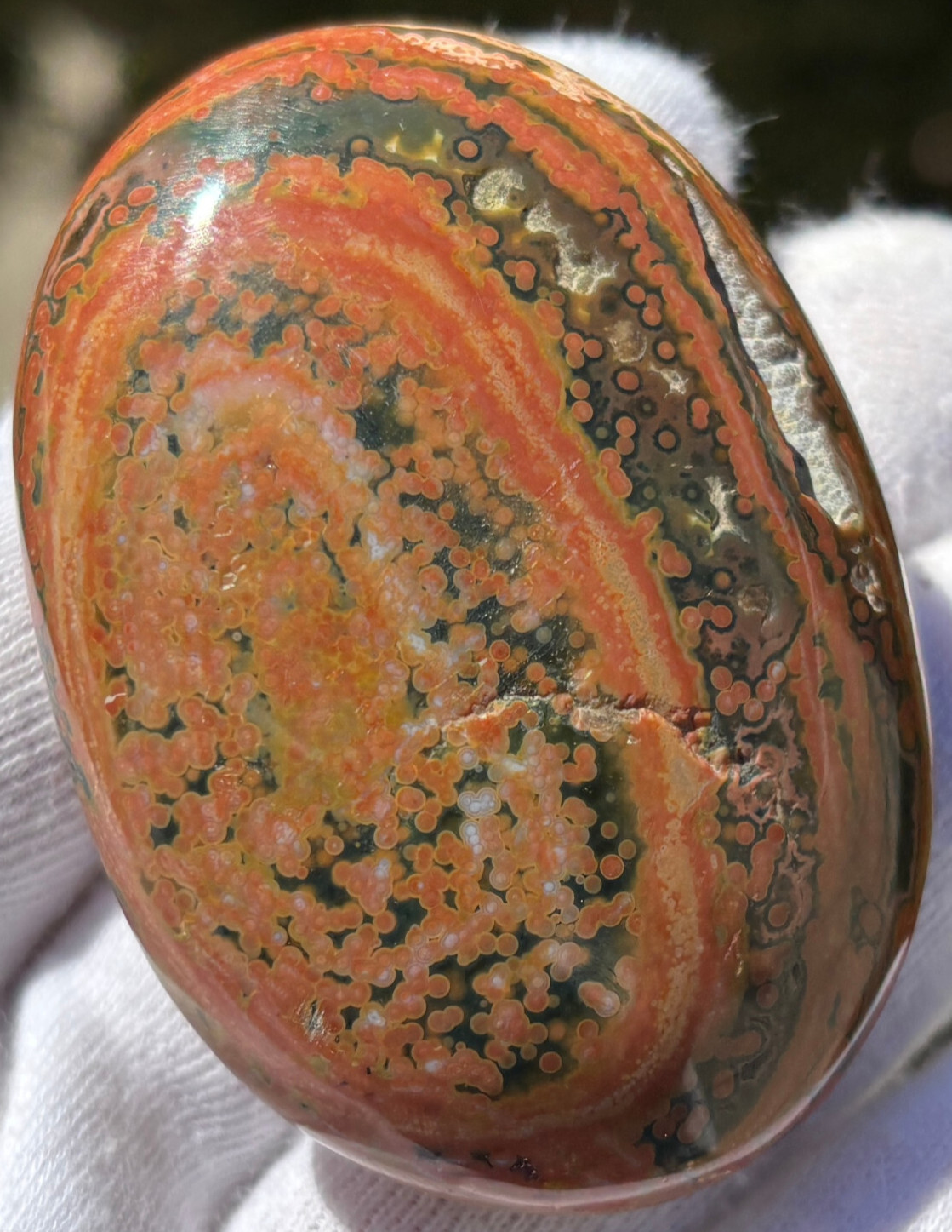 USA SALE 177g LOT OCEAN JASPER OJ PALMSTONES PALM STONE STONES PALMSTONE VIBRANT