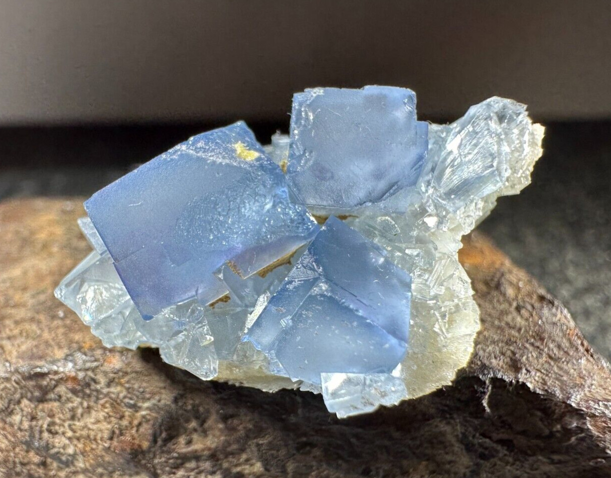 ➤ Thumbnail 1-3/8 Inch Blue FLUORITE CLUSTER Blanchard Mine New Mexico VIDEO➤405