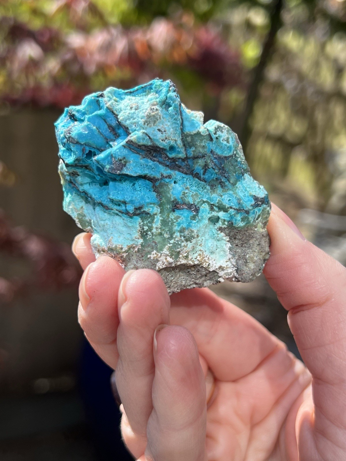Chrysocolla Crystal Natural Unpolished Raw Specimen With Copper 2